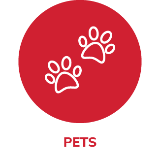 Pet